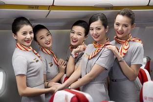 巴基斯坦空姐爆料新闻,揭秘机上不为人知的秘密与挑战